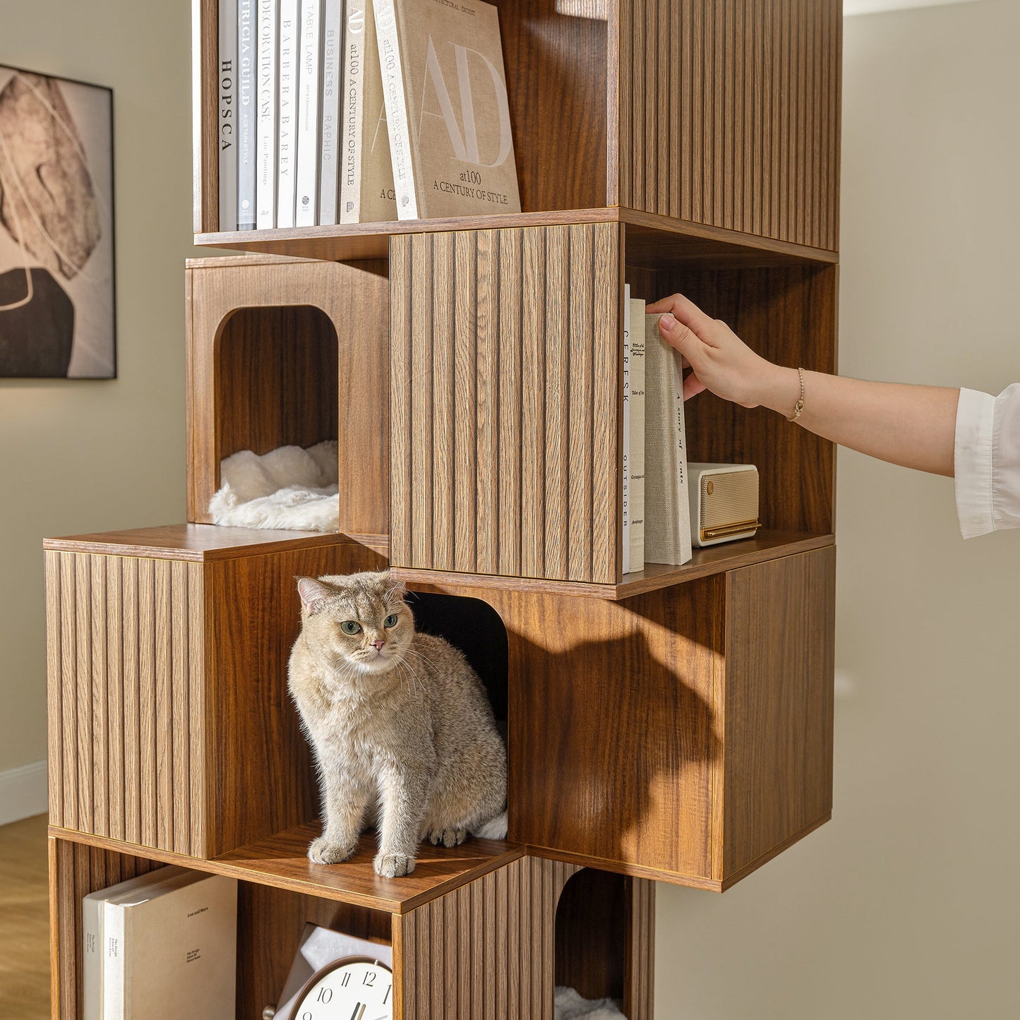 Pawlio, 72" Owner & Pet Shared Bookshelf Cat Tree