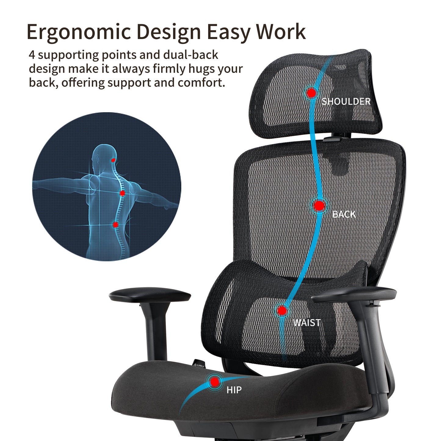 Lark, Adjustable Lumbar Ergonomic Office Chair