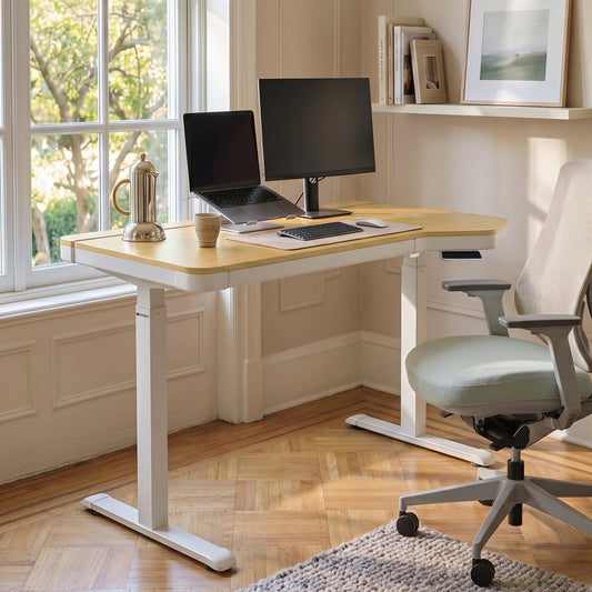 Prime Electric Standing Desk with RGB Lighting (55"x34")