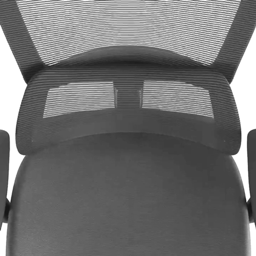 Lark, Adjustable Lumbar Ergonomic Office Chair