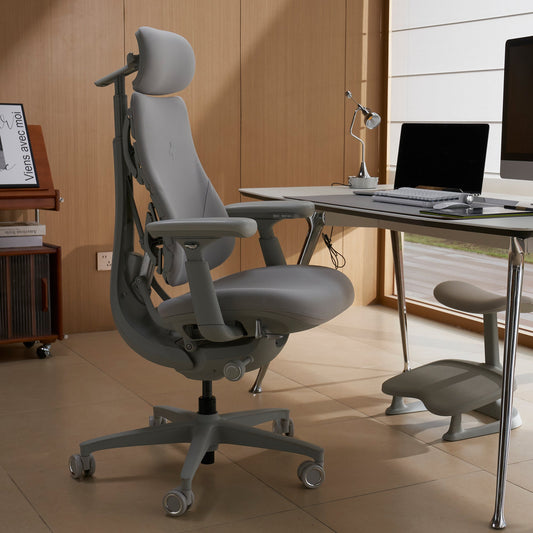 LiberNovo Omni, Ergonomic Office Chair
