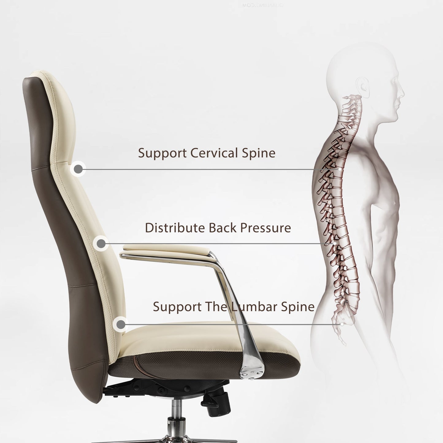 Royal Slim, Executive Office Chair
