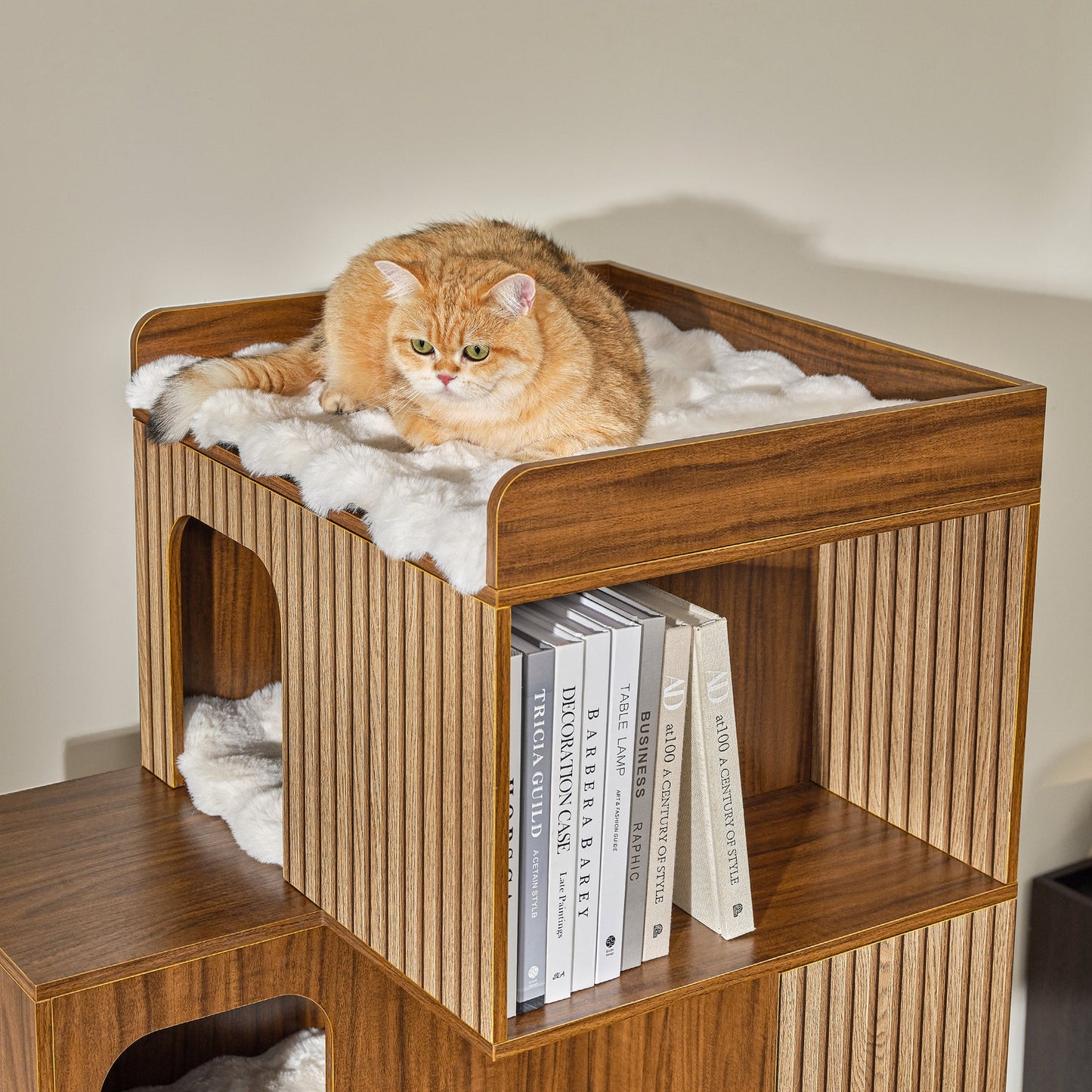 Pawlio, 72" Owner & Pet Shared Bookshelf Cat Tree