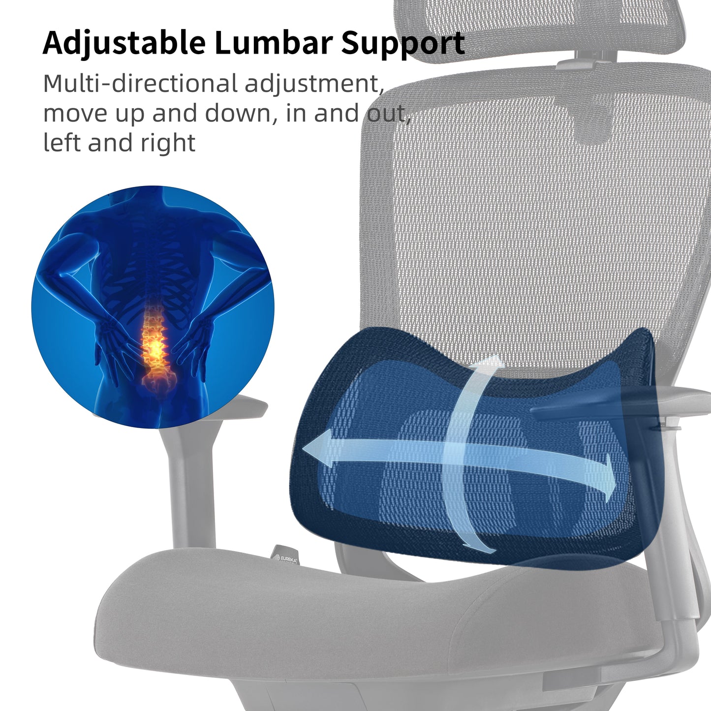 Lark, Adjustable Lumbar Ergonomic Office Chair